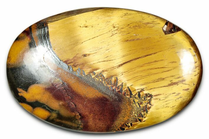 Polished Marra Mamba Tiger's Eye - Australia #342037